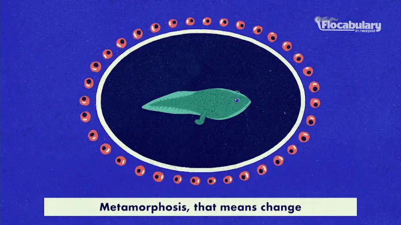 Metamorphosis