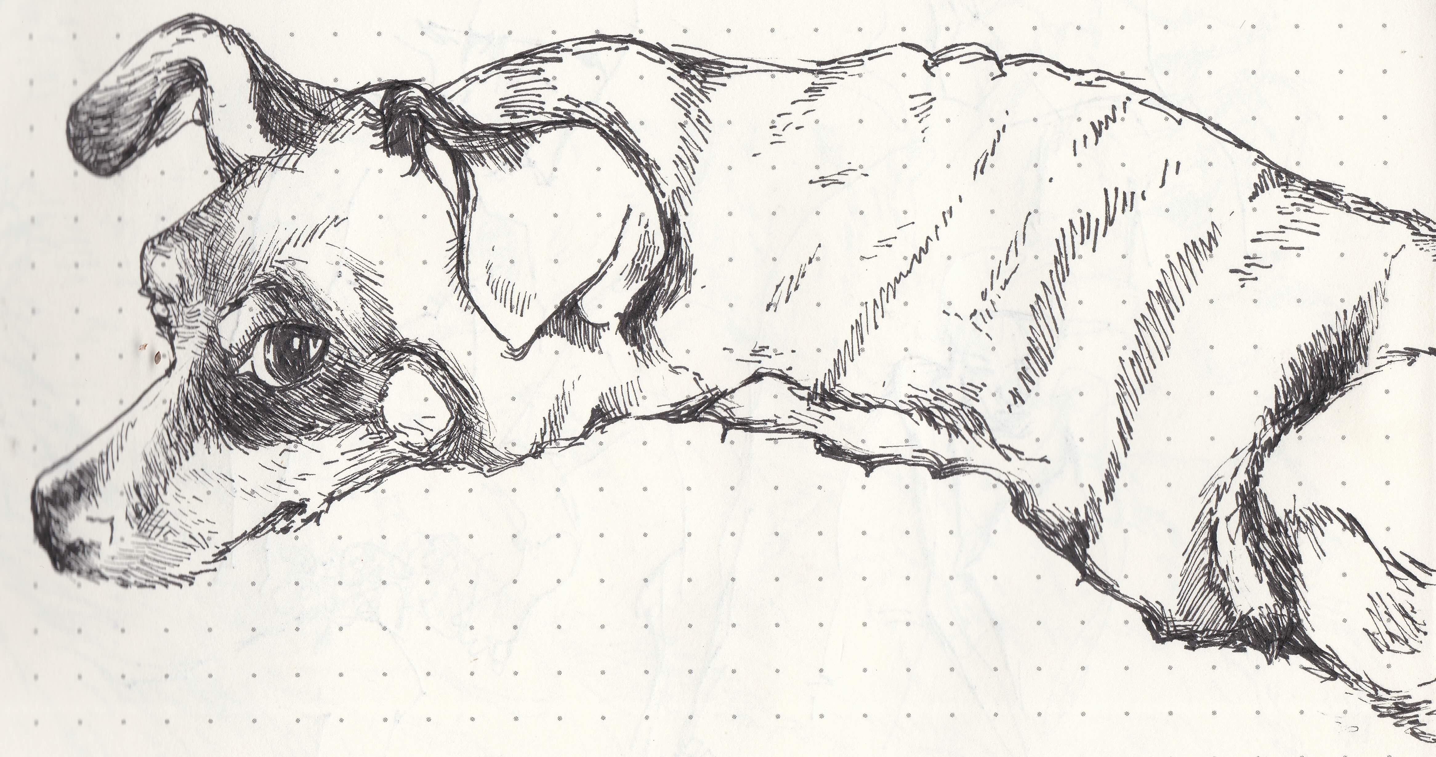 Myron's dog