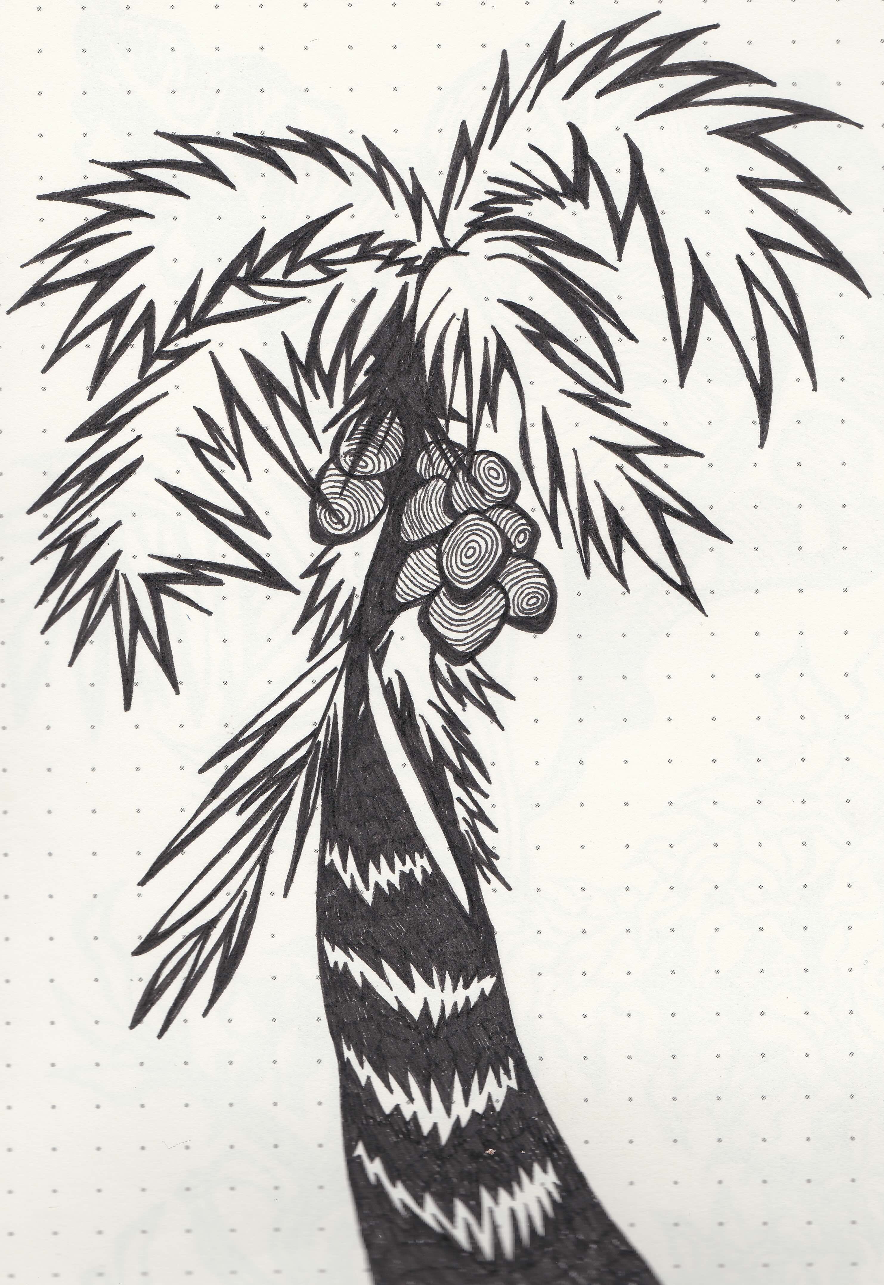 Palm tree in Pampanga
