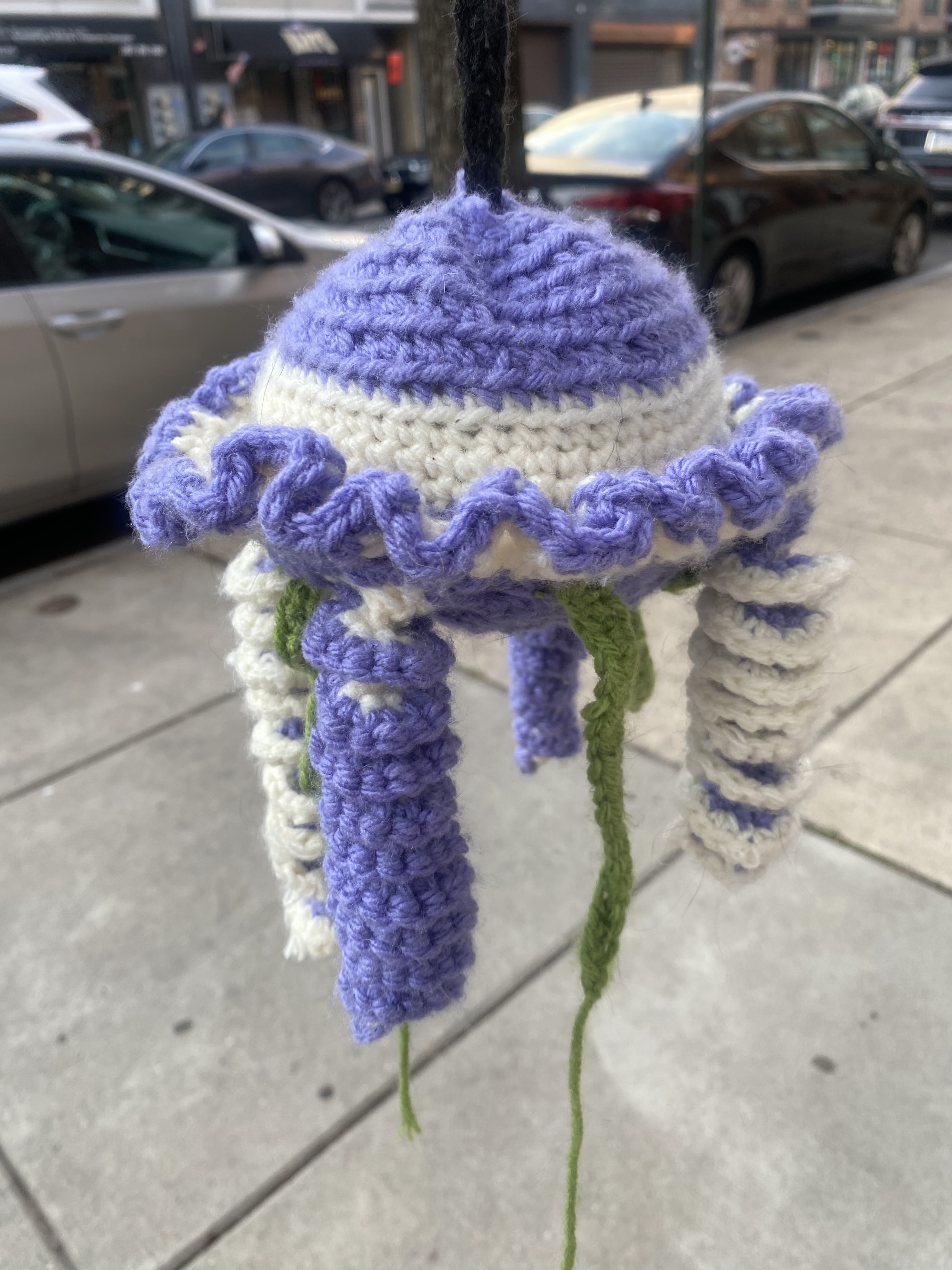 Jellyfish alt view