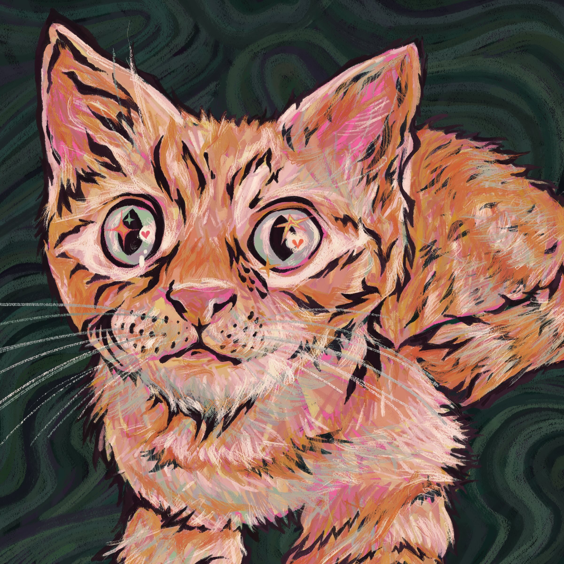 Momo the cat