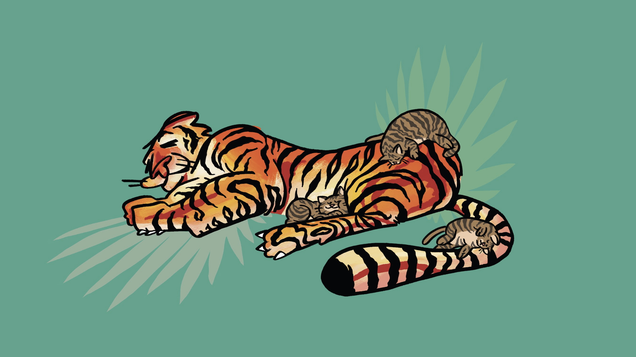 Tiger and Tabbies